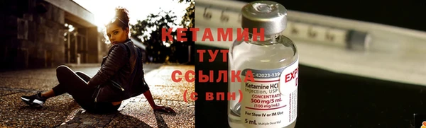 прущие грибы Чегем