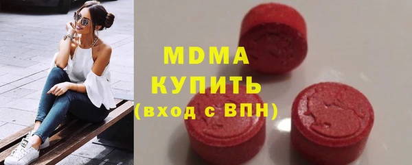 прущие грибы Чегем