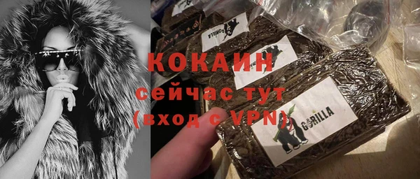 прущие грибы Чегем
