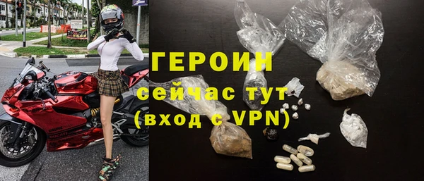 прущие грибы Чегем