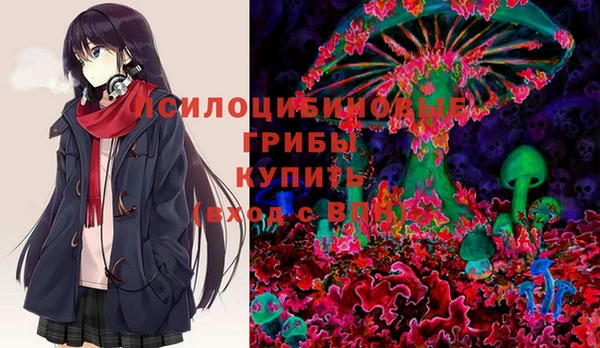 прущие грибы Ханты-Мансийск