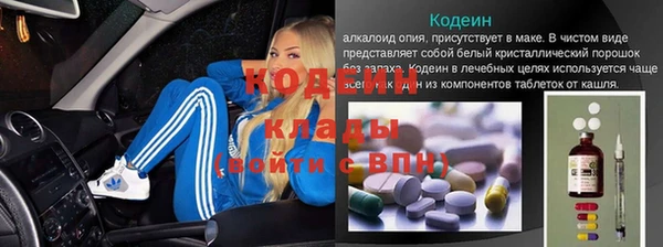 прущие грибы Ханты-Мансийск