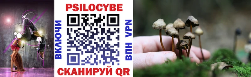 что такое   Амурск  Псилоцибиновые грибы Psilocybe 