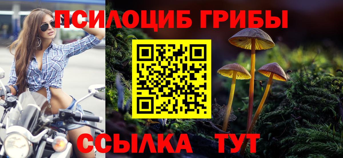 Галлюциногенные грибы Psilocybine cubensis  Амурск  Псилоцибиновые грибы мухоморы 