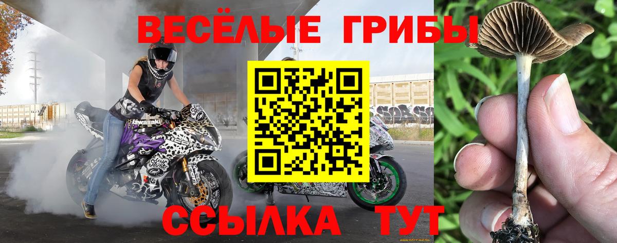 Амурск  Псилоцибиновые грибы мицелий  Вход с VPN 